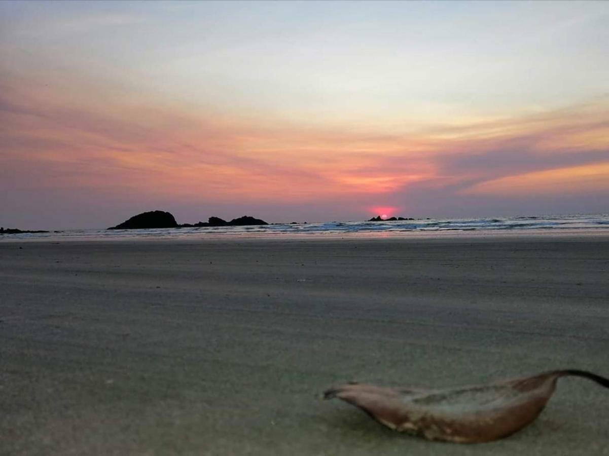 Corniche Beach Resort Mulappilangad Ngoại thất bức ảnh